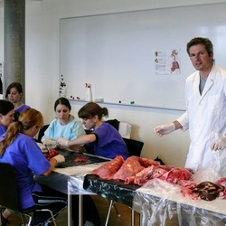 Sezierkurse an der HfH